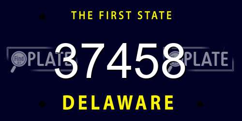 37458 Delaware License Plate