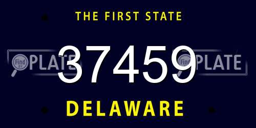 37459 Delaware License Plate