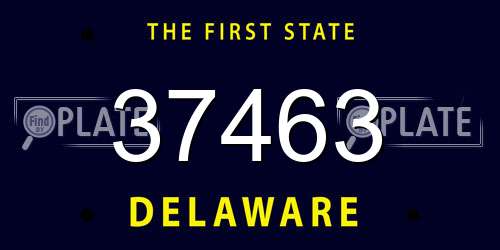 37463 Delaware License Plate