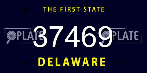37469 Delaware License Plate