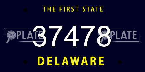 37478 Delaware License Plate