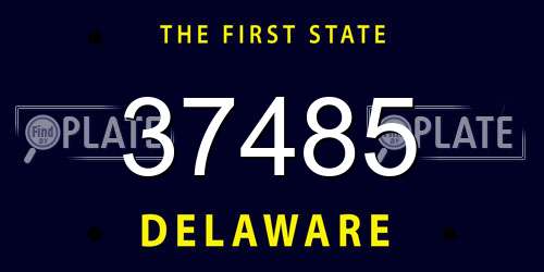 37485 Delaware License Plate