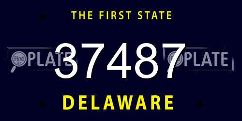 37487 Delaware License Plate