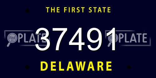 37491 Delaware License Plate