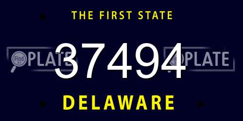 37494 Delaware License Plate