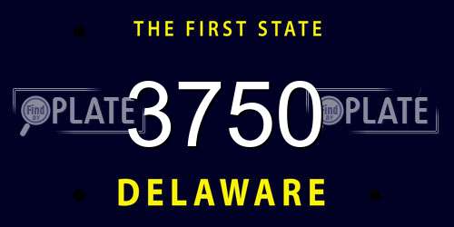 3750 Delaware License Plate