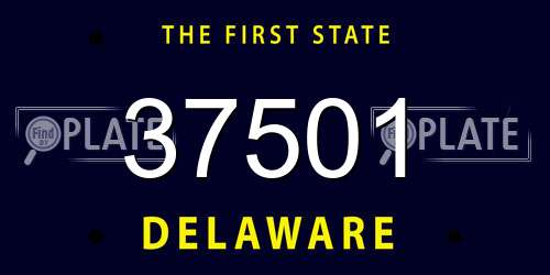 37501 Delaware License Plate