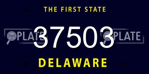 37503 Delaware License Plate