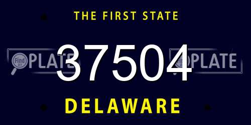 37504 Delaware License Plate
