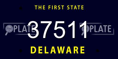 37511 Delaware License Plate