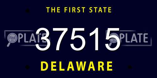 37515 Delaware License Plate