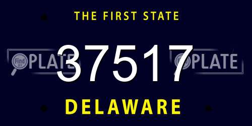 37517 Delaware License Plate