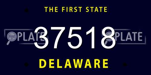 37518 Delaware License Plate