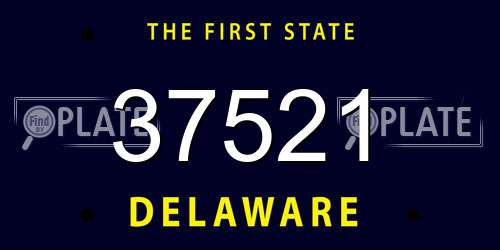 37521 Delaware License Plate