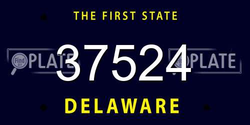 37524 Delaware License Plate