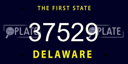 37529 Delaware License Plate