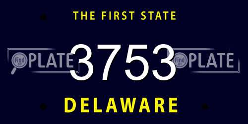 3753 Delaware License Plate