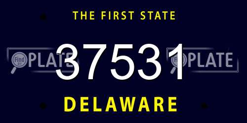 37531 Delaware License Plate