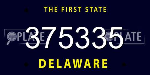 375335 Delaware License Plate