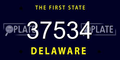 37534 Delaware License Plate