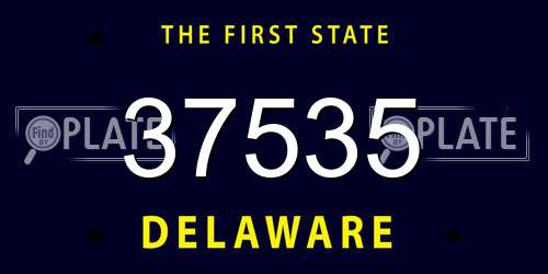 37535 Delaware License Plate
