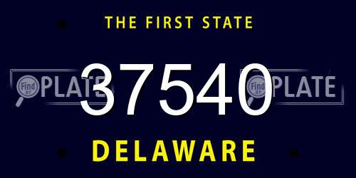 37540 Delaware License Plate