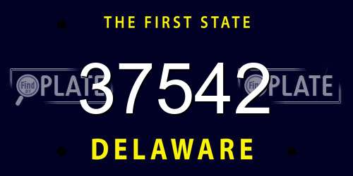 37542 Delaware License Plate
