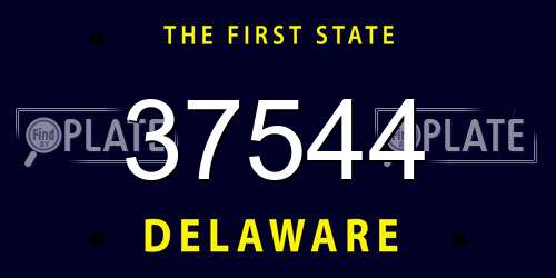 37544 Delaware License Plate