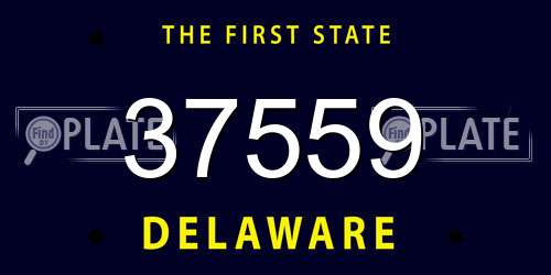 37559 Delaware License Plate