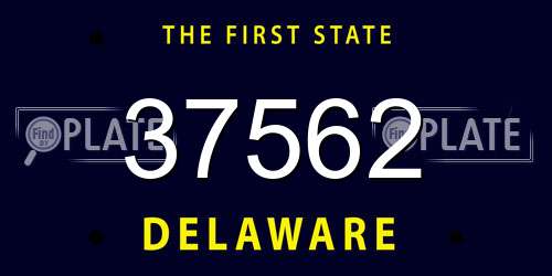 37562 Delaware License Plate