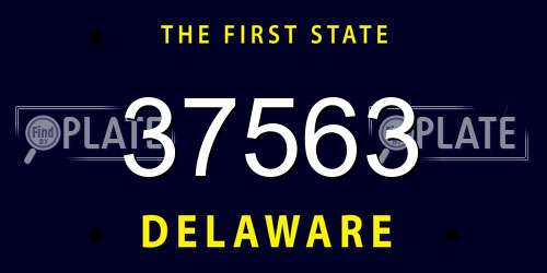 37563 Delaware License Plate