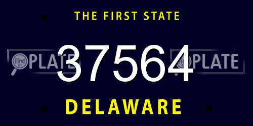 37564 Delaware License Plate