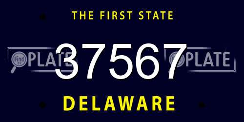 37567 Delaware License Plate