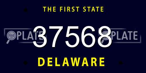 37568 Delaware License Plate