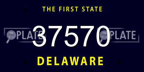 37570 Delaware License Plate