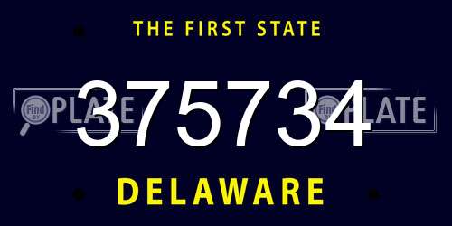 375734 Delaware License Plate