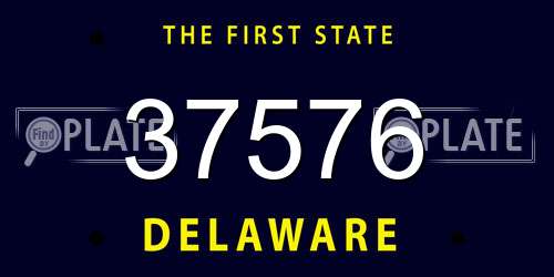 37576 Delaware License Plate