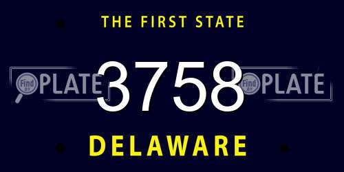 3758 Delaware License Plate