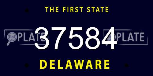 37584 Delaware License Plate