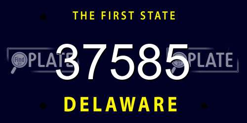 37585 Delaware License Plate