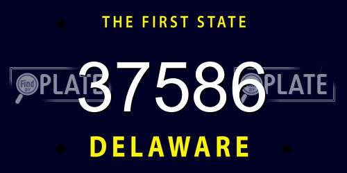 37586 Delaware License Plate