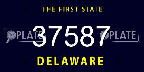 37587 Delaware License Plate