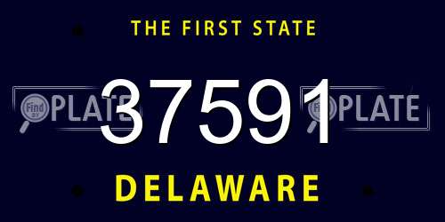 37591 Delaware License Plate