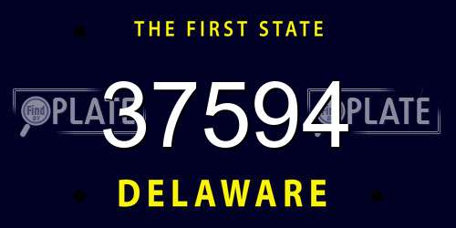 37594 Delaware License Plate