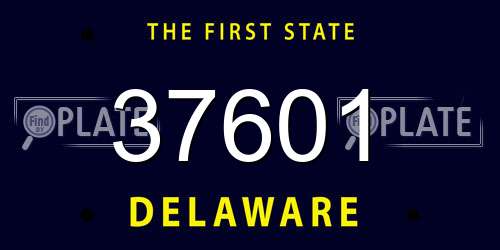 37601 Delaware License Plate