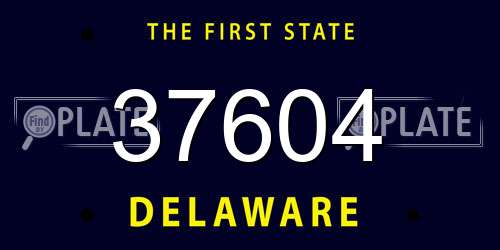 37604 Delaware License Plate