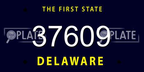 37609 Delaware License Plate