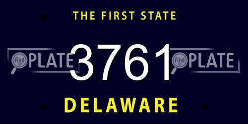 3761 Delaware License Plate