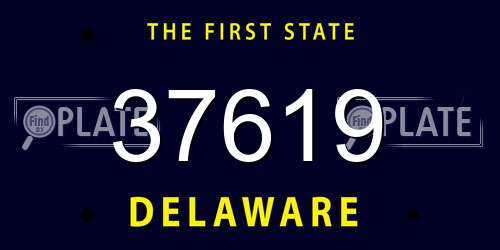 37619 Delaware License Plate