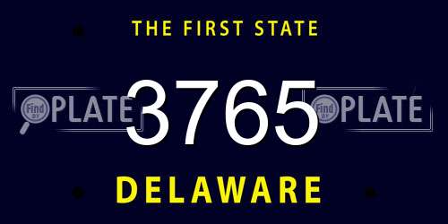 3765 Delaware License Plate